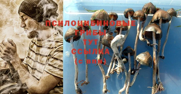 ALPHA PVP Нефтекумск