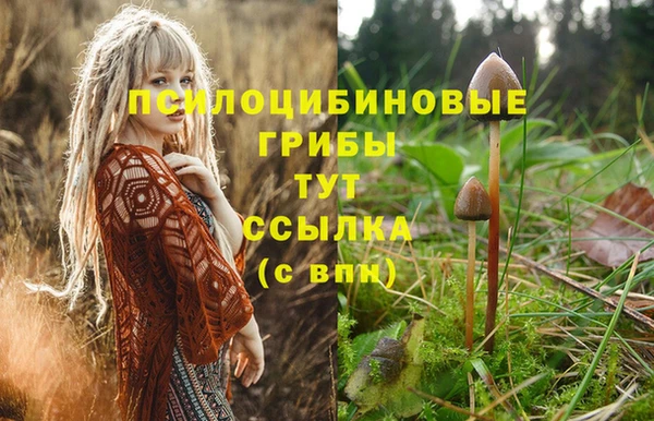 ALPHA PVP Нефтекумск